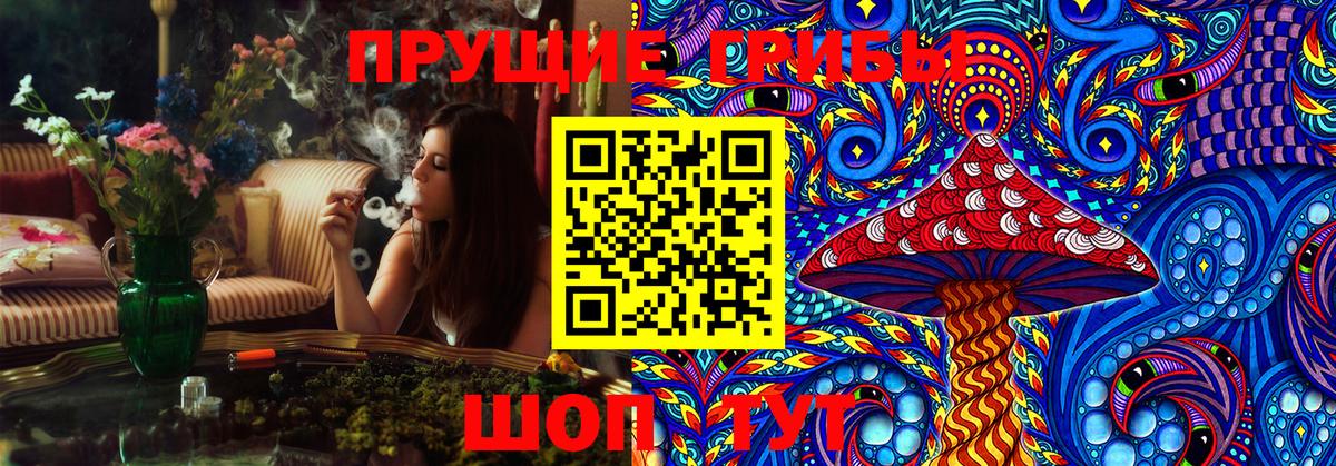 наркошоп  Галлюциногенные грибы GOLDEN TEACHER  Вход с VPN  Сердобск 